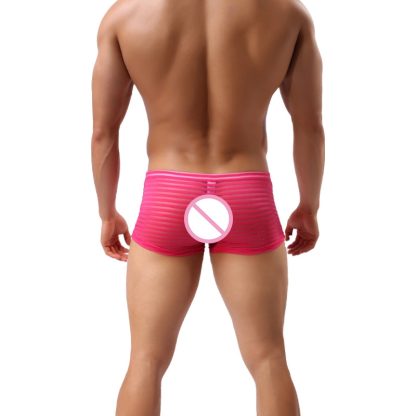 Sheer Striped Underwear - Image 4