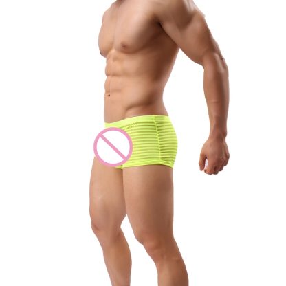 Sheer Striped Underwear - Image 5