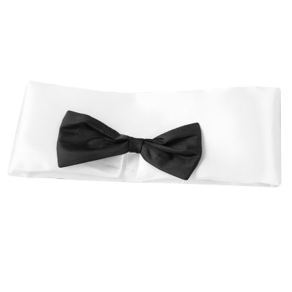 Sexy Waiter Lingerie Costume - Image 5