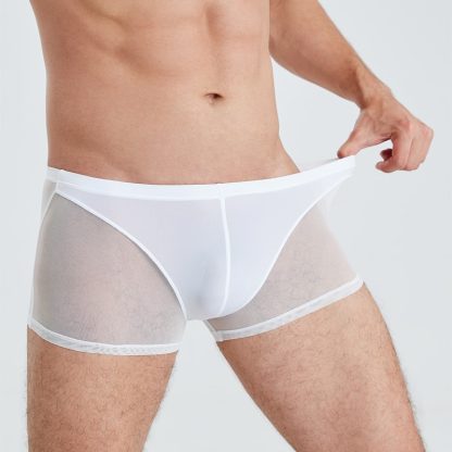 Sensual Mesh Boxer Briefs - Image 6