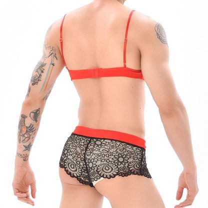 Sensual See-Through Mesh Lingerie - Image 5