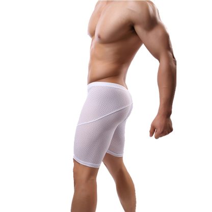 Mesh Sheer Bottoms - Image 2