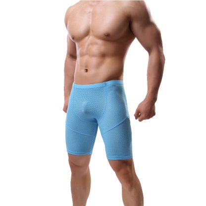 Mesh Sheer Bottoms - Image 4