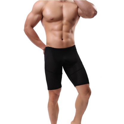 Mesh Sheer Bottoms