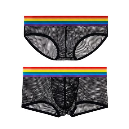 Sensual Mesh Underwear Set - Image 6