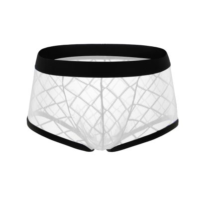 Sexy Mesh Sheer Boxers - Image 2