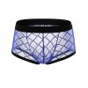 Sexy Mesh Sheer Boxers - Image 3