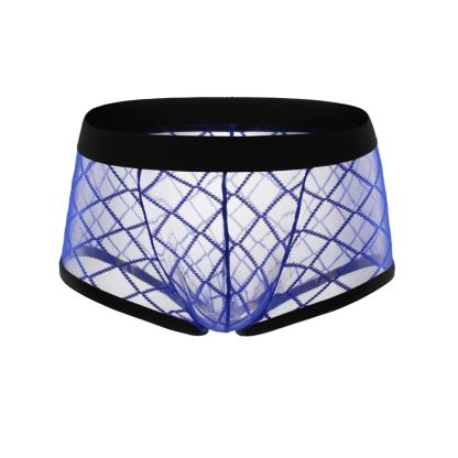 Sexy Mesh Sheer Boxers - Image 3