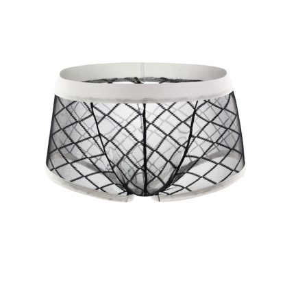 Sexy Mesh Sheer Boxers